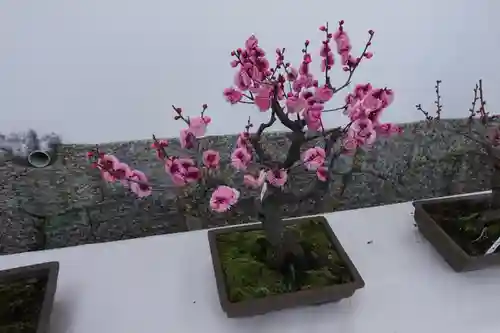 菅原天満宮（菅原神社）の自然