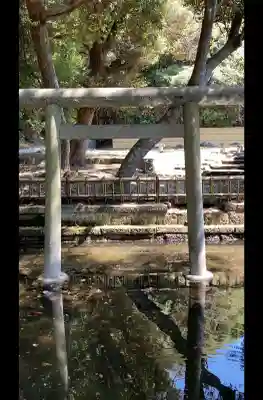 大洗磯前神社の{uncategorized: "未分類", other: "その他", undefined: "問題あり", building: "その他建物", grave: "お墓", sacred_gate: "鳥居", guardian: "狛犬", statue: "像", buddha: "仏像", history: "歴史", nature: "自然", garden: "庭園", animal: "動物", pagoda: "塔", temizu: "手水舎", mountain_gate: "山門・神門", sanctuary: "本殿・本堂", subordinate: "末社・摂社", art: "芸術", scenery: "景色", jizo: "地蔵", ema: "絵馬", goshuin: "御朱印", omikuji: "おみくじ", items: "授与品その他", amulet: "お守り", goshuincho: "御朱印帳", eats: "食事", festival: "お祭り", votive_dance: "神楽", shichigosan: "七五三参", wedding: "結婚式", experience: "体験その他", initially: "初詣", around: "周辺", anti_infection: "感染症対策"}