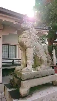 白山比咩神社の狛犬