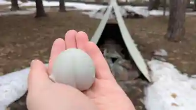 東川神社の授与品その他