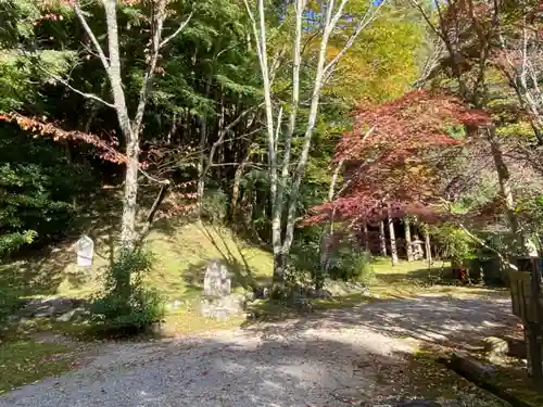新大佛寺の自然