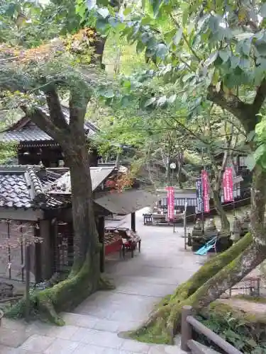 龍蔵寺(山口県)