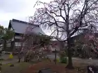 称念寺(新潟県)