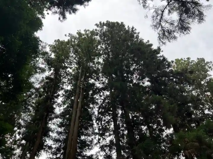大宮温泉神社(栃木県)