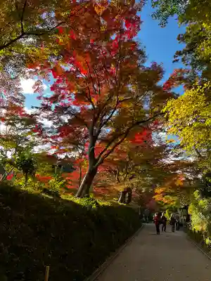 白山神社(岩手県)