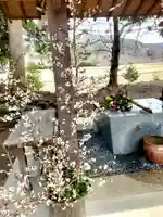 高司神社〜むすびの神の鎮まる社〜(福島県)