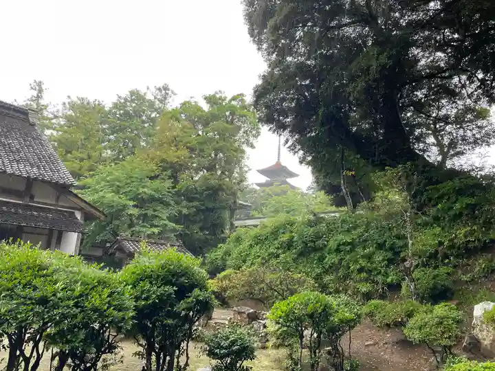 妙成寺(石川県)