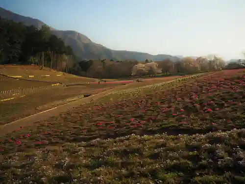【公式】龍門院常楽寺（秩父札所十一番）(埼玉県)