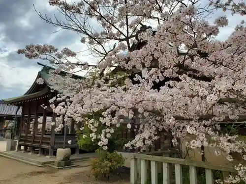 御厨神社の自然