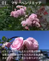 宝光寺(北海道)