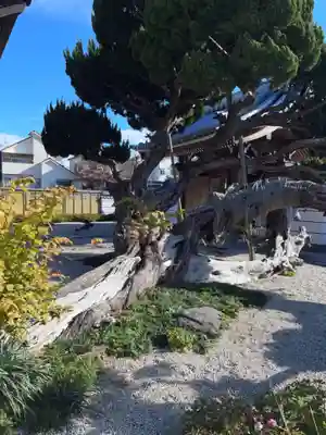 禅寂寺(大阪府)