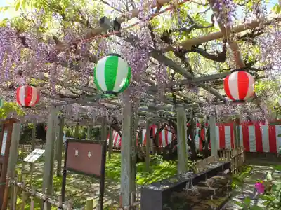 惣社神社の自然