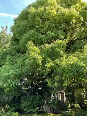 慈受院門跡(京都府)