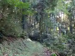 白山神社の自然