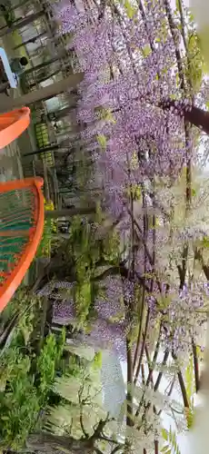 行興寺(静岡県)