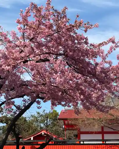 車折神社の自然