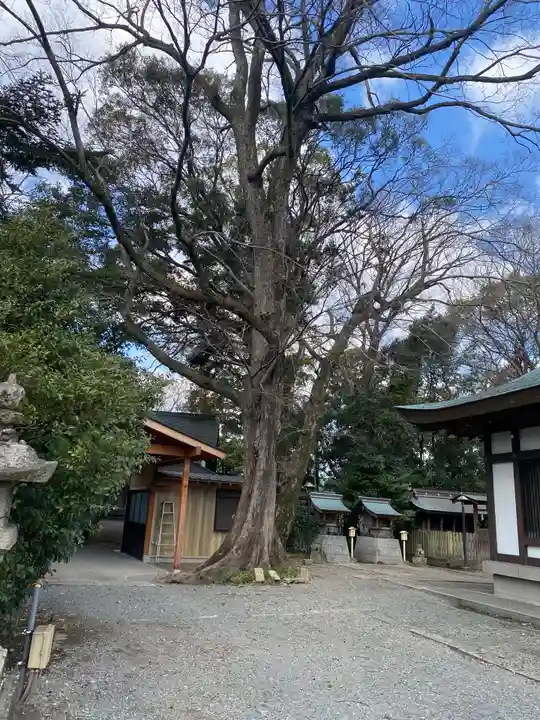 大宮神社の自然