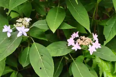 出釋迦寺(香川県)