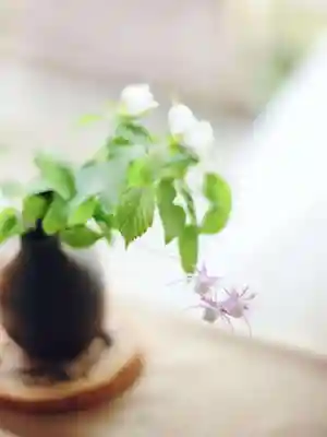 浄土寺(兵庫県)