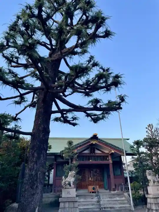 熊野神社の{uncategorized: "未分類", other: "その他", undefined: "問題あり", building: "その他建物", grave: "お墓", sacred_gate: "鳥居", guardian: "狛犬", statue: "像", buddha: "仏像", history: "歴史", nature: "自然", garden: "庭園", animal: "動物", pagoda: "塔", temizu: "手水舎", mountain_gate: "山門・神門", sanctuary: "本殿・本堂", subordinate: "末社・摂社", art: "芸術", scenery: "景色", jizo: "地蔵", ema: "絵馬", goshuin: "御朱印", omikuji: "おみくじ", items: "授与品その他", amulet: "お守り", goshuincho: "御朱印帳", eats: "食事", festival: "お祭り", votive_dance: "神楽", shichigosan: "七五三参", wedding: "結婚式", experience: "体験その他", initially: "初詣", around: "周辺", anti_infection: "感染症対策"}