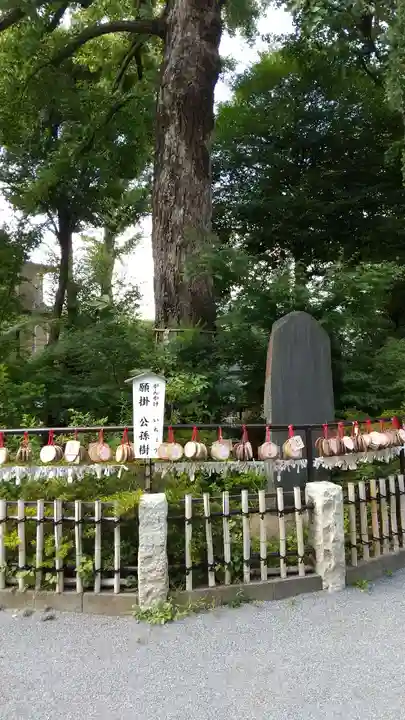 七社神社の自然