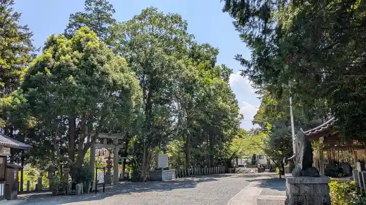 大井神社(京都府)