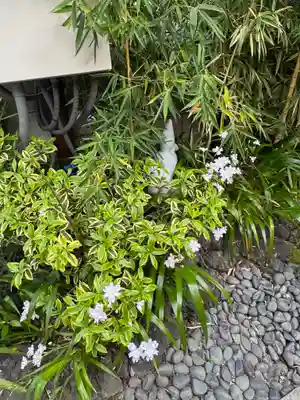 蛇窪神社(東京都)