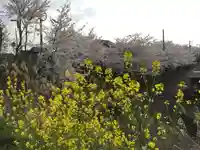 八幡神社の自然