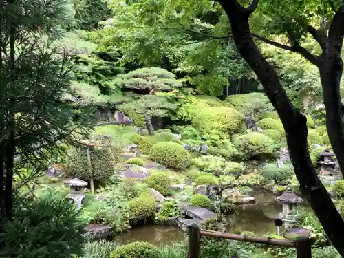 興禅寺の庭園