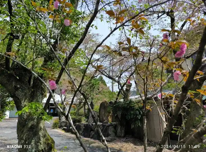 天鷹神社(岐阜県)