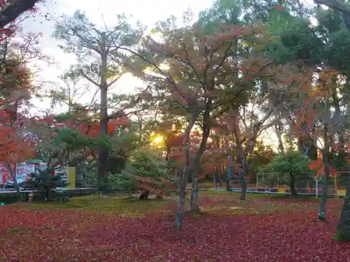 鹿苑寺（金閣寺）の庭園