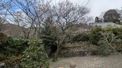 徳乗坊(滋賀県)