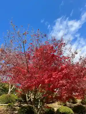 善水寺(滋賀県)