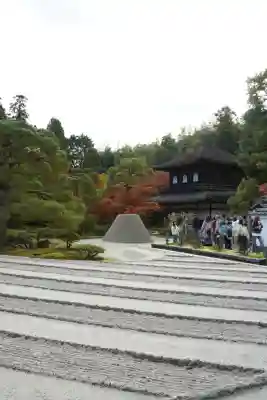 慈照寺（慈照禅寺・銀閣寺）(京都府)