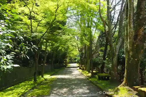 愛宕神社（阿多古神社）(京都府)