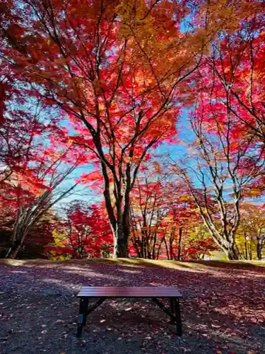 土津神社｜こどもと出世の神さまの景色