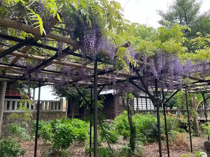 佐野原神社の自然