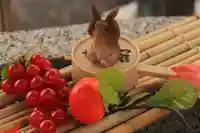 阿邪訶根神社の手水舎