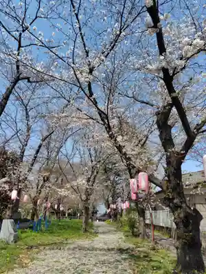 城山稲荷神社(埼玉県)