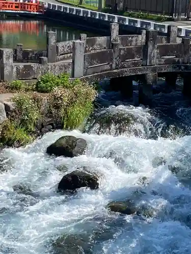富士山本宮浅間大社(静岡県)