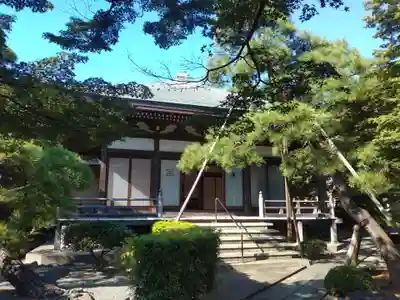 樹源寺の本殿・本堂