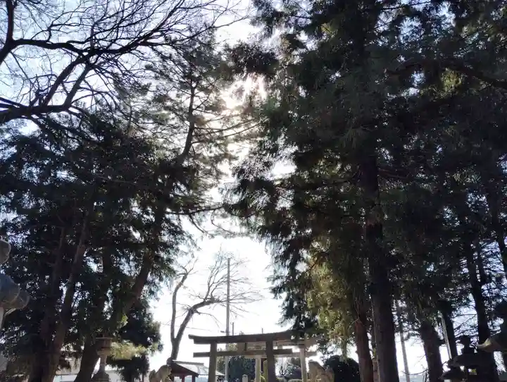 諏訪神社の自然