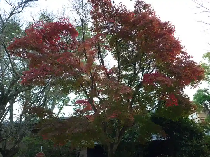 厳島神社(広島県)