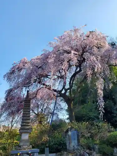 上合寺(福島県)