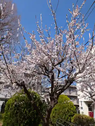 池尻稲荷神社(東京都)