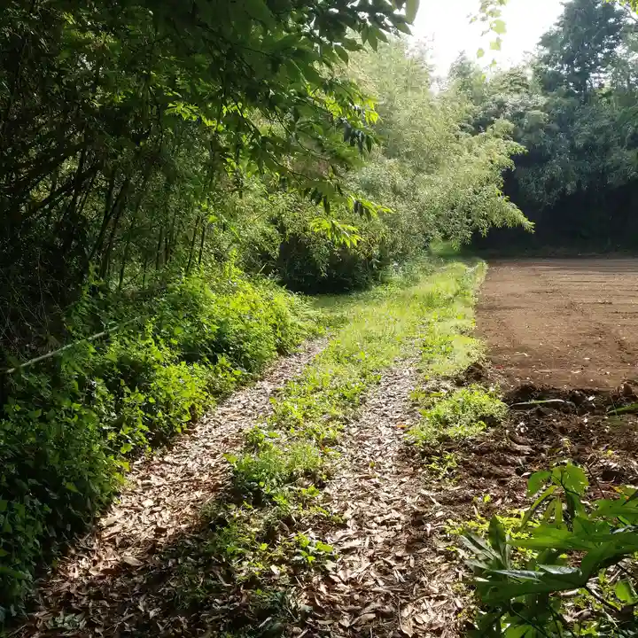 香取神社の自然
