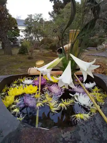 三十三間堂本坊　妙法院門跡の手水舎