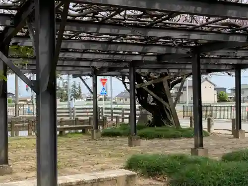 照明寺　(反町薬師尊)(群馬県)