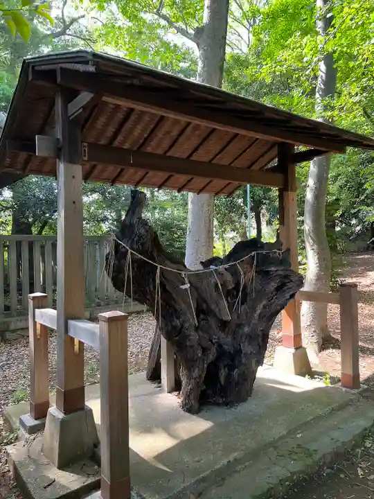 八雲氷川神社(東京都)