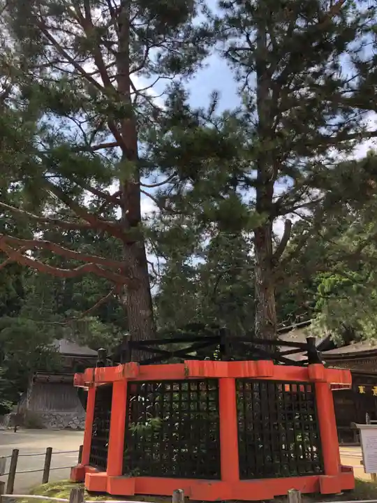 壇上伽藍(和歌山県)